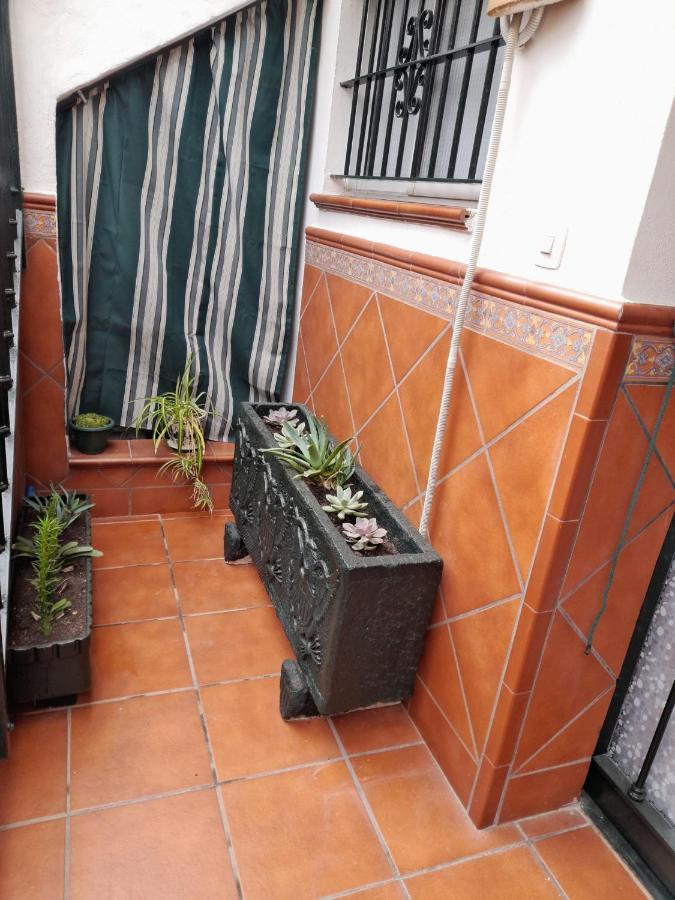 Alojamiento Casa Piano Mairena del Aljarafe Exteriér fotografie
